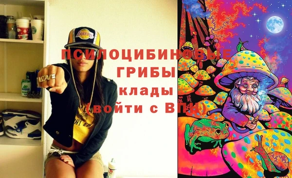 гашик Горняк