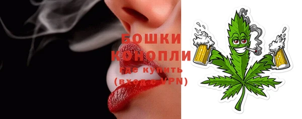 гашик Горняк