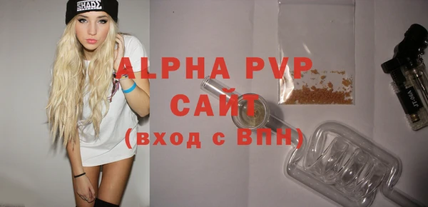гашик Горняк