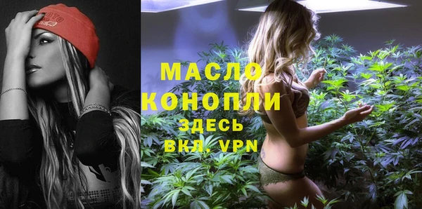 гашик Горняк