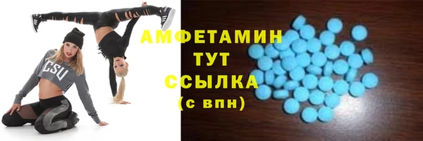 гашик Горняк