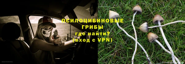 гашик Горняк