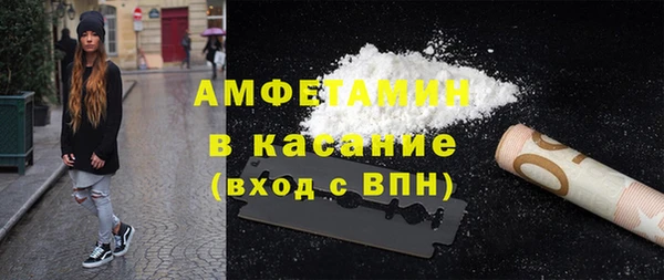 гашик Горняк