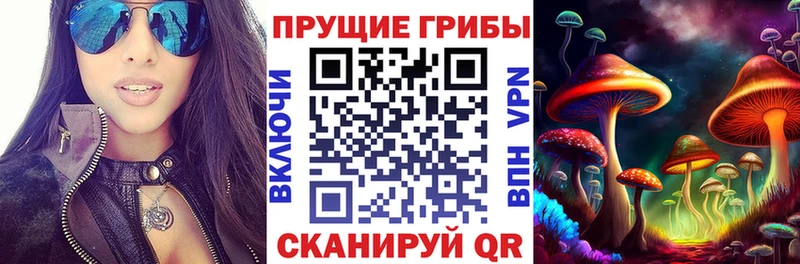 Псилоцибиновые грибы ЛСД  закладка  Сычёвка 